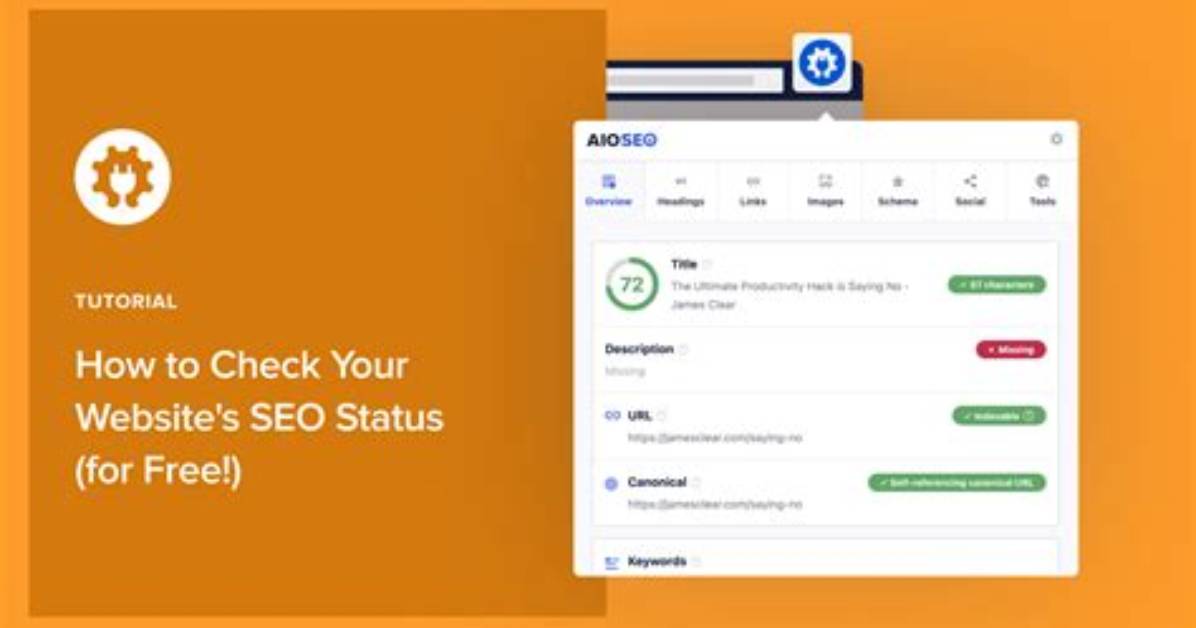 Check Your Website S